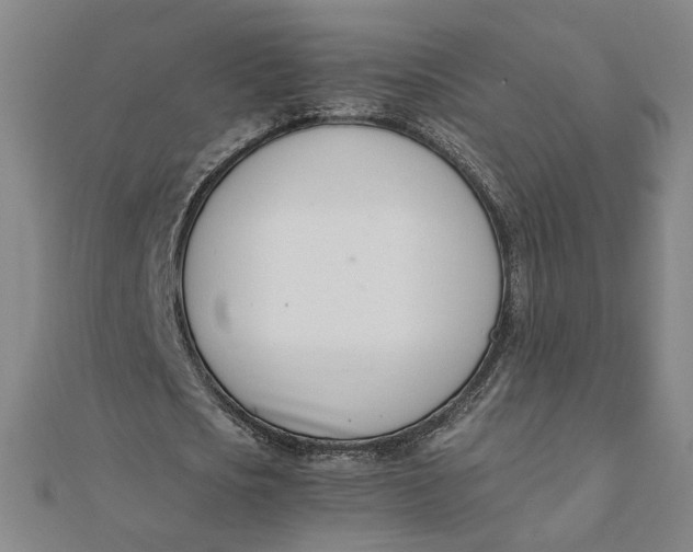 X0000111660721200907311137