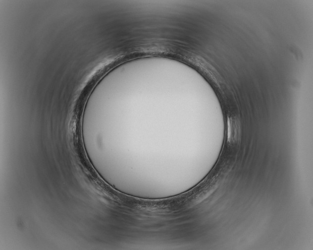 X0000111660723200907311137