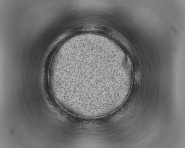 X0000111660724200907311137