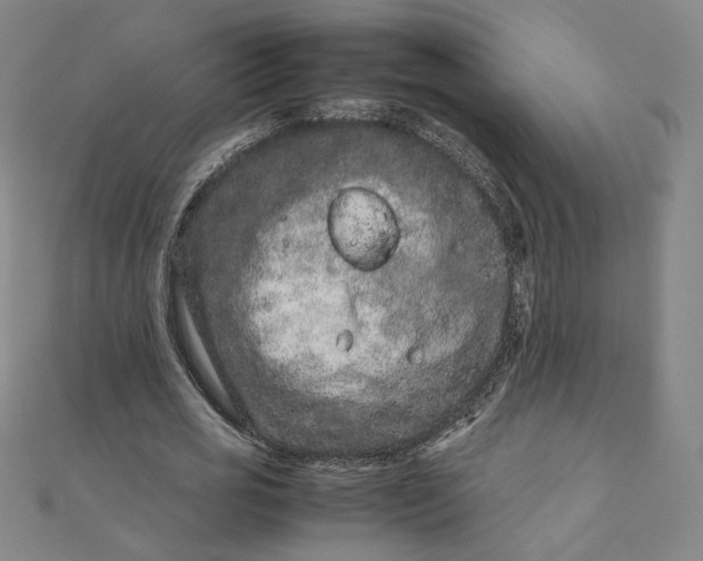 X0000111660725200907311137