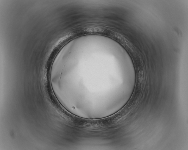 X0000111660727200907311137