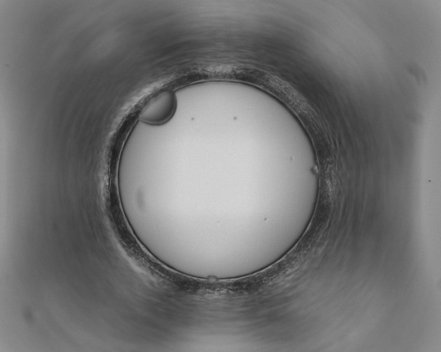 X0000111660728200907311137