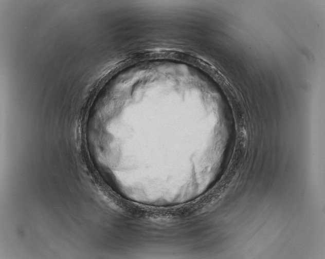 X0000111660729200907311137