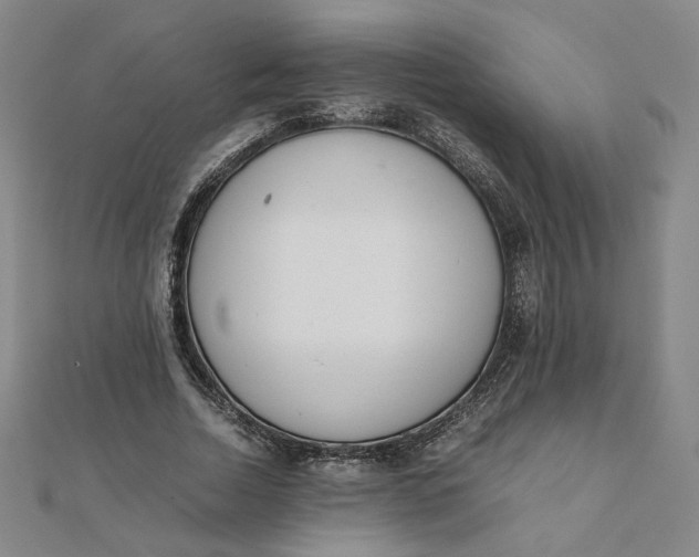 X0000111660730200907311137