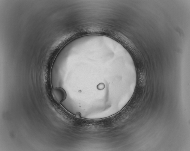 X0000111660732200907311137