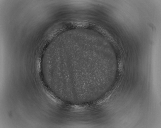 X0000111660733200907311137