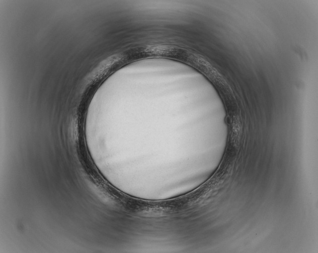 X0000111660734200907311137