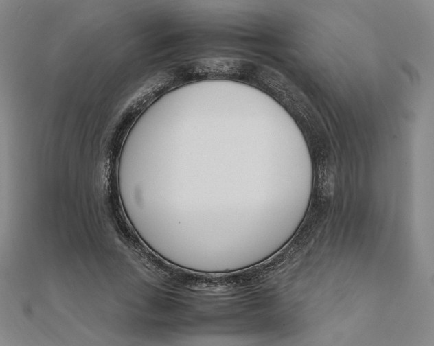 X0000111660735200907311137