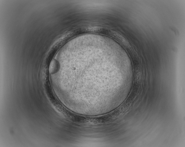 X0000111660736200907311137