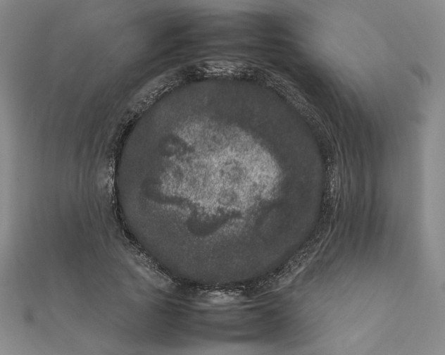 X0000111660737200907311137