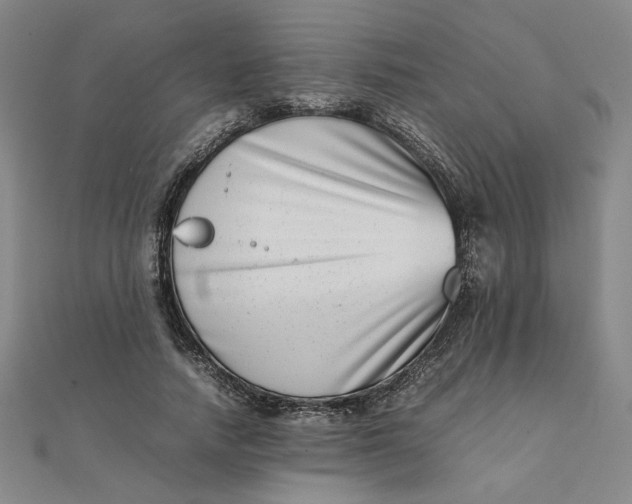 X0000111660738200907311137