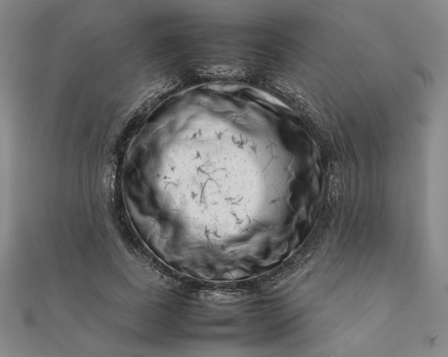 X0000111660739200907311137