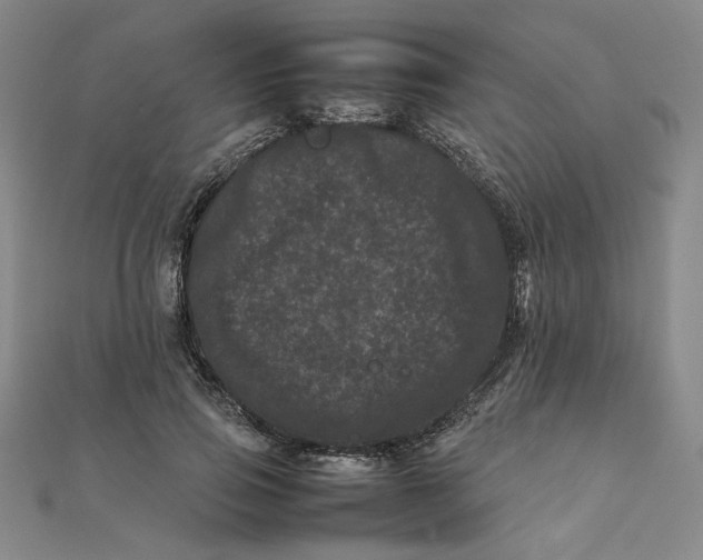 X0000111660741200907311137