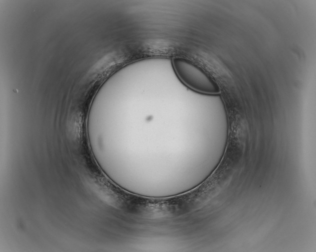 X0000111660744200907311137