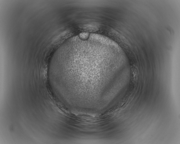 X0000111660745200907311137