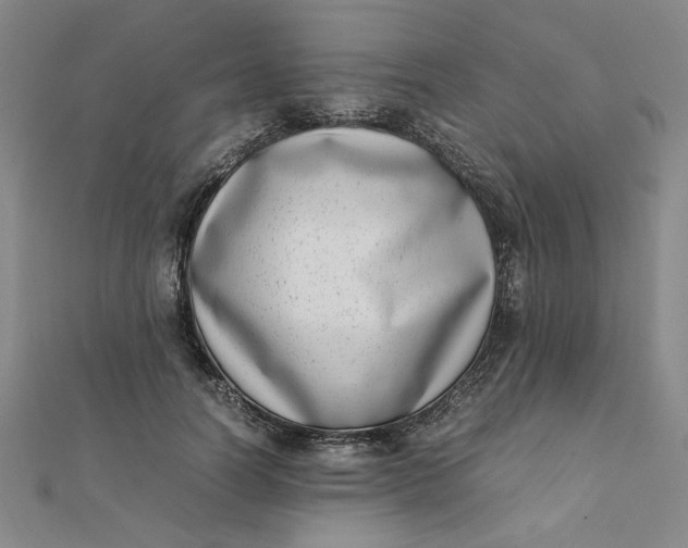 X0000111660746200907311137