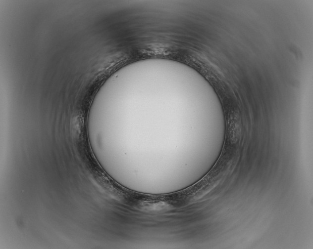 X0000111660747200907311137