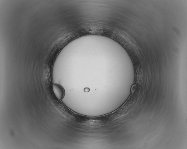 X0000111660748200907311137