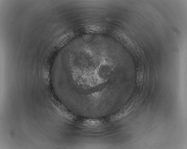 X0000111660749200907311137