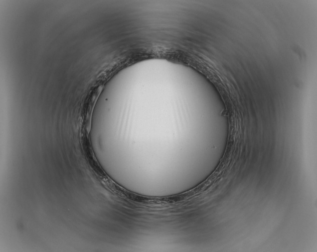 X0000111660750200907311137