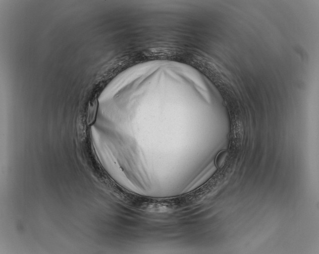 X0000111660751200907311137