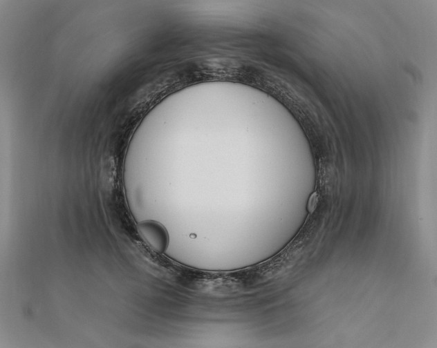 X0000111660752200907311137