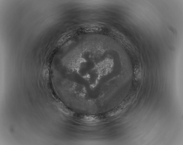 X0000111660753200907311138