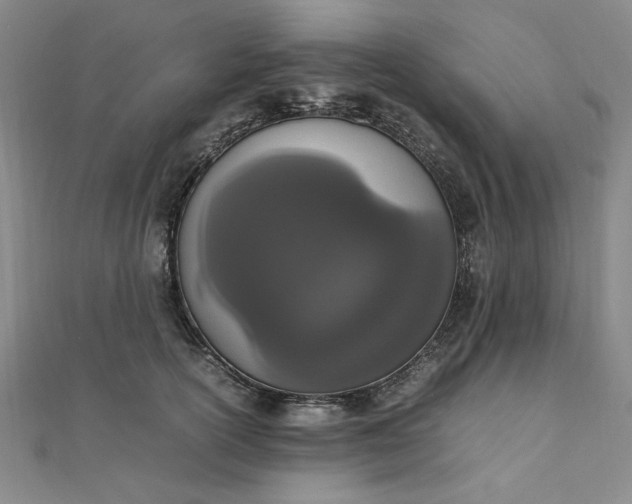 X0000111660754200907311138