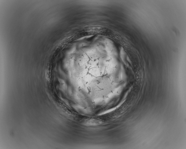 X0000111660755200907311138