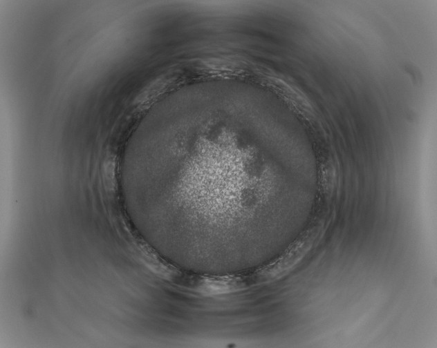 X0000111660757200907311138