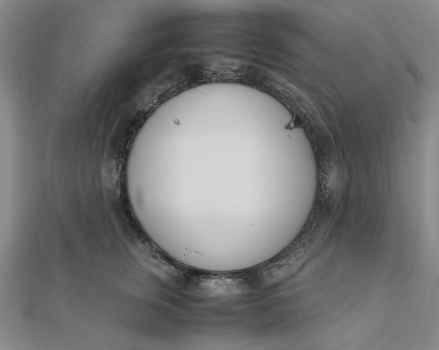 X0000111660759200907311138