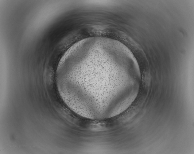 X0000111660760200907311138