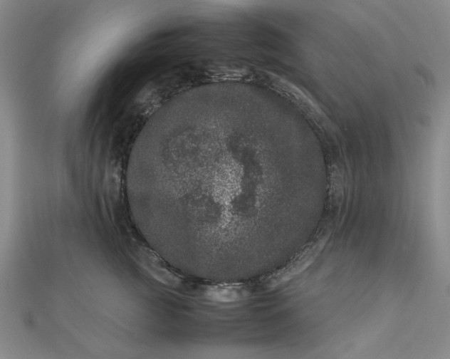 X0000111660761200907311138