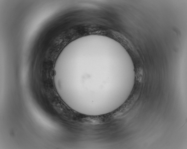 X0000111660763200907311138