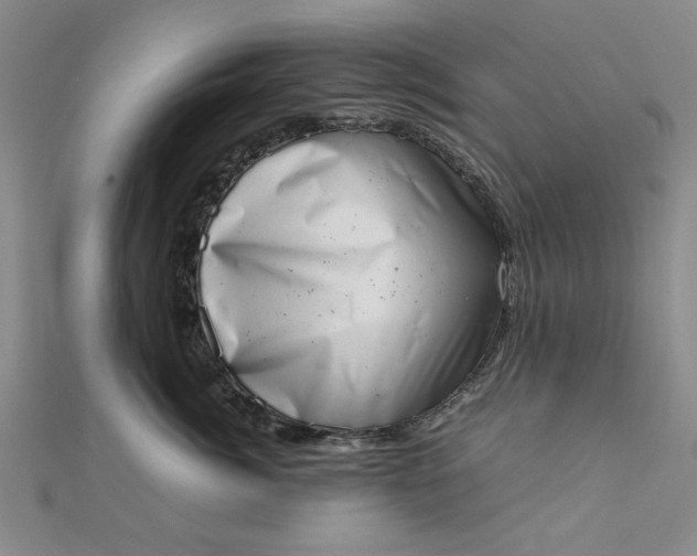 X0000111660764200907311138