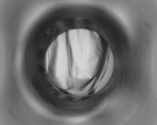 X0000111660765200907311138