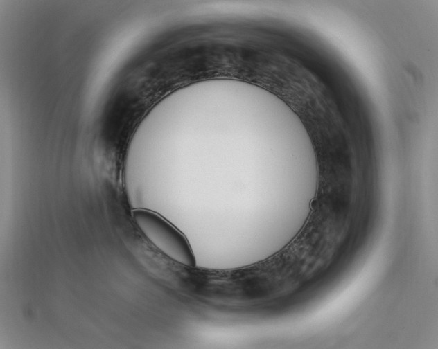 X0000111660766200907311138