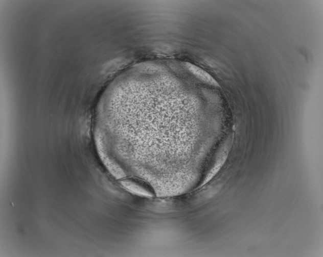 X0000111660768200907311138