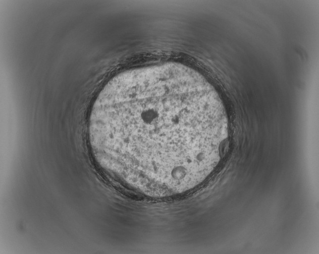 X0000111660769200907311137