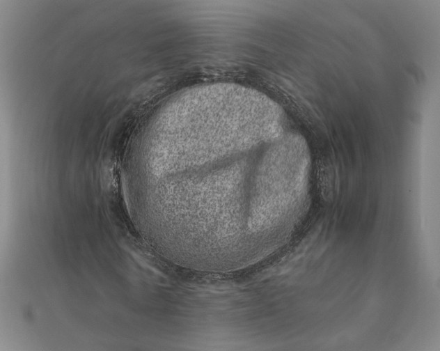 X0000111660770200907311137