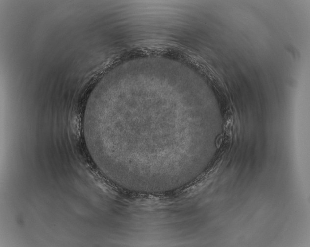 X0000111660772200907311137