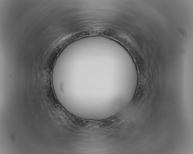 X0000111660773200907311137