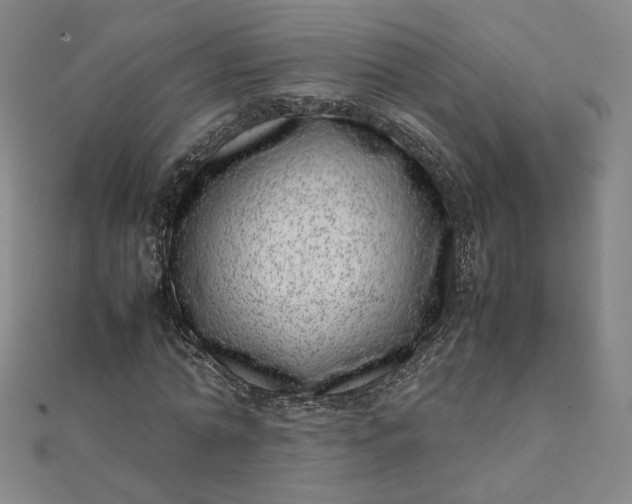 X0000111660774200907311137