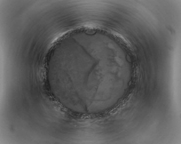 X0000111660776200907311137