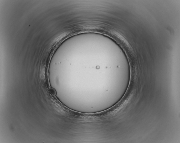 X0000111660777200907311137