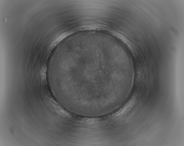 X0000111660778200907311137