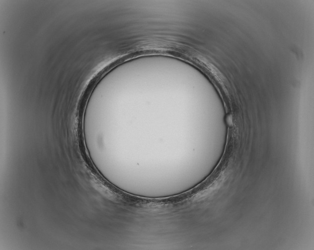 X0000111660779200907311137