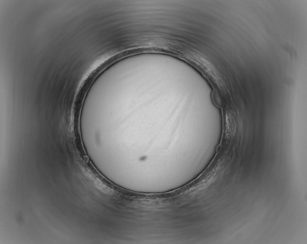 X0000111660780200907311137