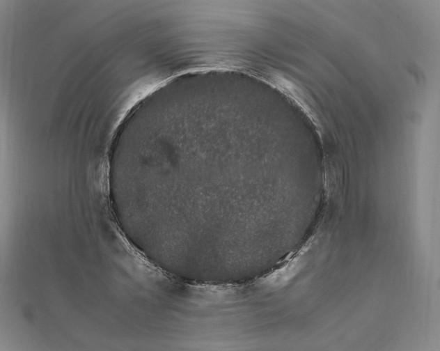 X0000111660781200907311137