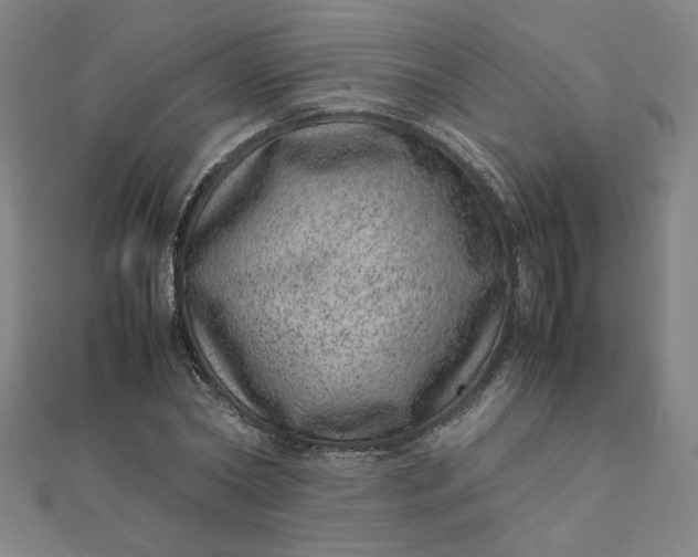 X0000111660782200907311137